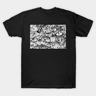 Black and White Succulents T-Shirt